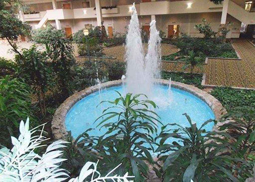 Hotel Ava Lubbock Felszereltség fotó
